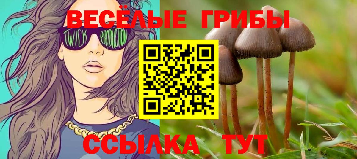 Галлюциногенные грибы мухоморы Первоуральск